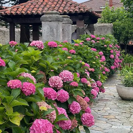 La Solana De Vila *