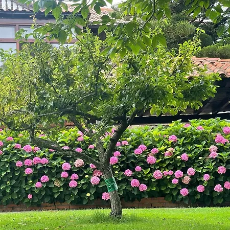 La Solana De * Mogro