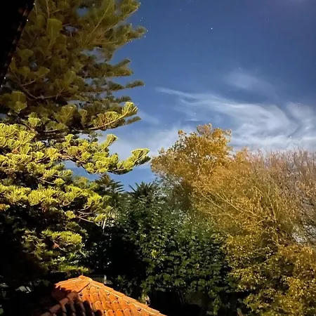 La Solana De Villa