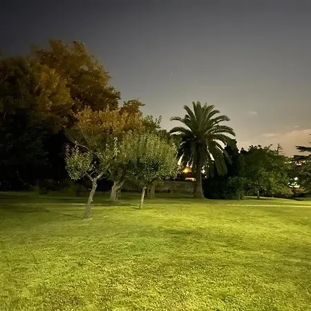 La Solana De *