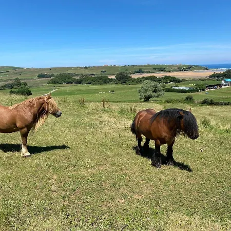 La Solana De Villa *