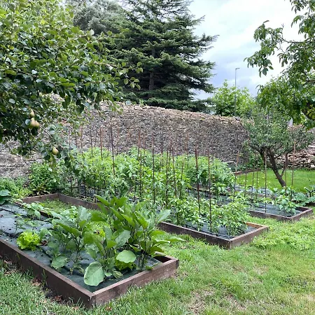 La Solana De Villa Mogro