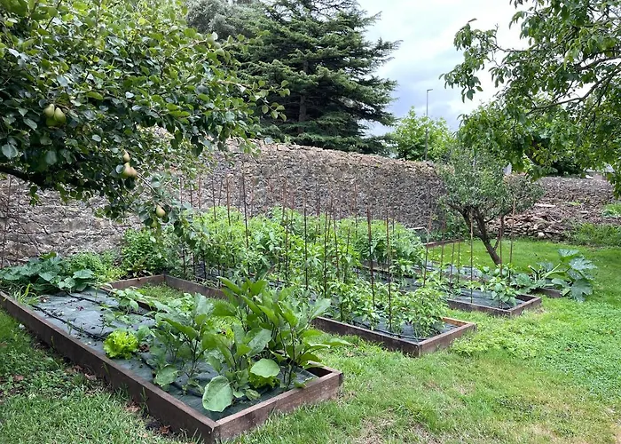 La Solana De Villa Mogro