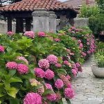 La Solana De Villa *