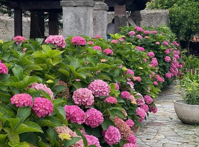 La Solana De 别墅 *