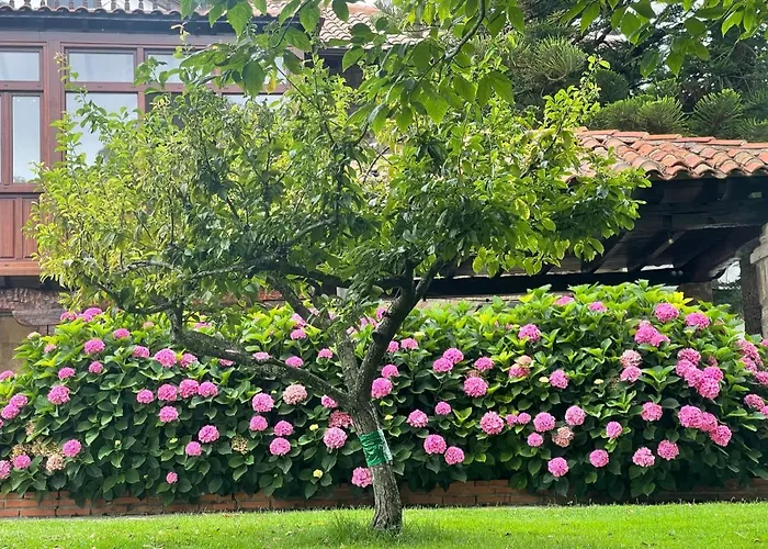 La Solana De * 莫格罗